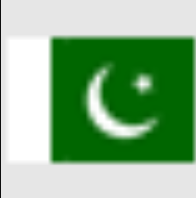 Bingo PKR ur